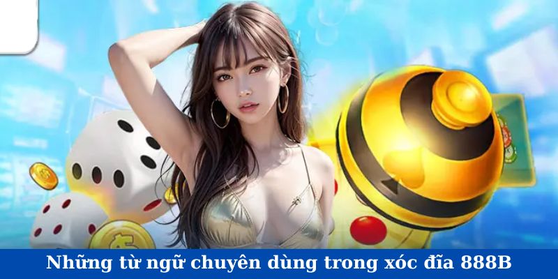 Những từ ngữ chuyên dùng trong xóc đĩa 888B